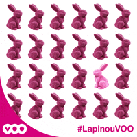 lapin concours GIF by VOO
