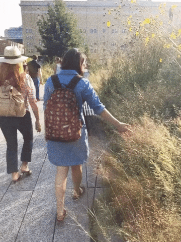 tiffanykao  GIF
