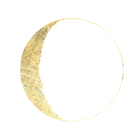 Moon Phase Sticker for iOS & Android