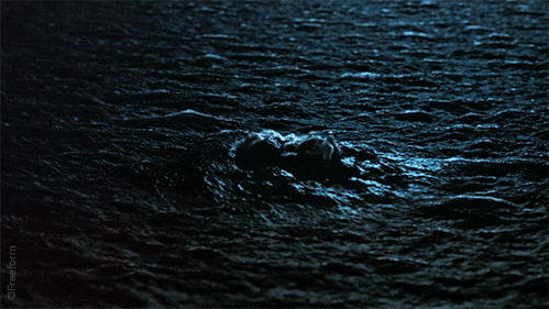 water ocean GIF by Siren