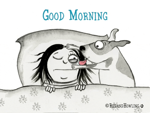 Tired Good Morning GIF by Red & Howling