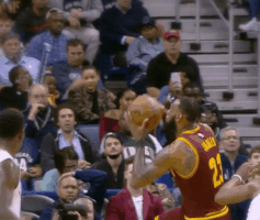 billfromfinance block lebron pelicans stuffed GIF