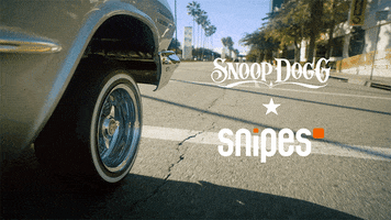 snoop dogg GIF by Snipes