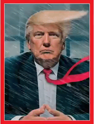 deineko trump donald trump GIF