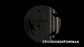 George Foreman Fighting GIF by Sony Pictures