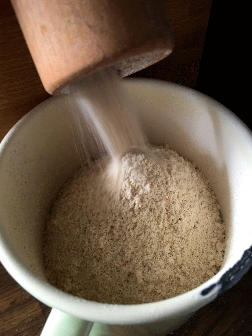 Gnarly GIF Find & Share on GIPHY