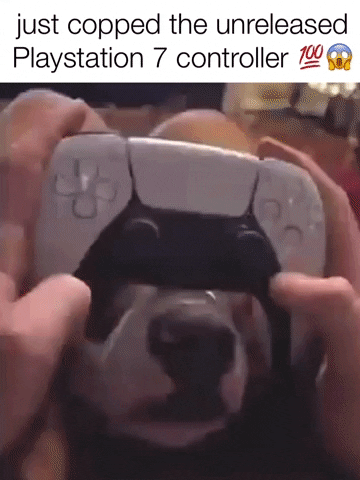 Meme GIF