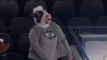 Hockey Ahl GIF by sarampage