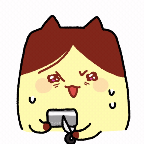 Creditcard Puddingcat GIF