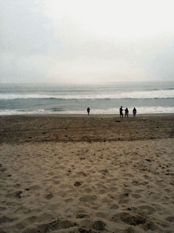 perrykurtz venice beach bella kurtz bella on beach GIF