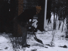 Shoveling Snow Day GIF by US National Archives