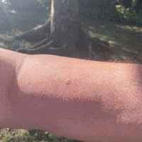 Shark Tank Tool GIF by Bug Bite Thing