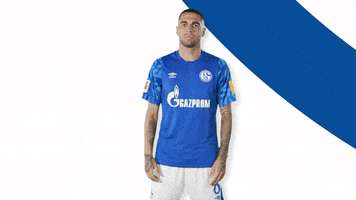 German Soccer Schalke 04 2019 20 GIF by FC Schalke 04