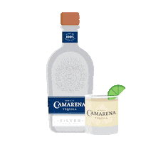 Soccer Futbol Sticker by Camarena Tequila