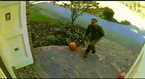 Delivery GIF - Find & Share on GIPHY
