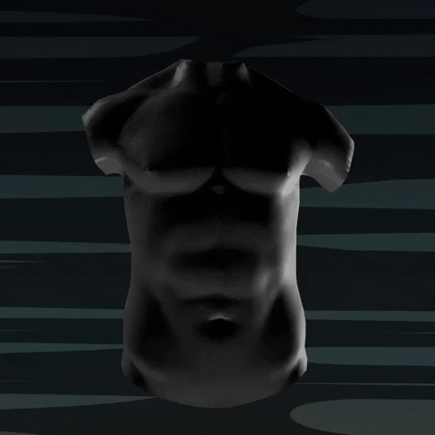 Sexy Six Pack GIF by GoStijn