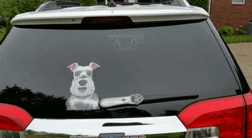 schnauzer wipers GIF by WiperTags Wiper Covers