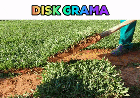 Grass Blumenau GIF by Disk Grama