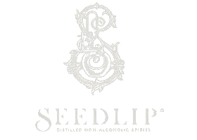 Alcohol Free Summer Sticker by Seedlip