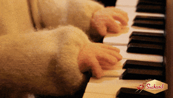 GIF by Suchard