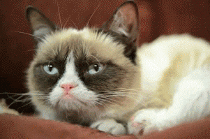 giphy.gif?cid=790b7611991ca1c3d0dcfacb7f80e726a49d1a49aee0b1f7&rid=giphy.gif&ct=g