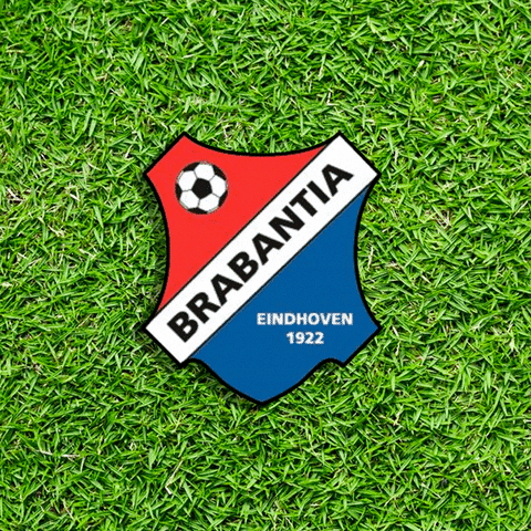 VVBrabantia soccer win club winner GIF