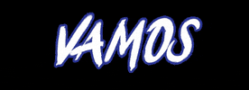 Europa Stormers Rugby GIF