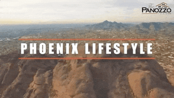 the-panozzo-team realestate drone desert arizona GIF