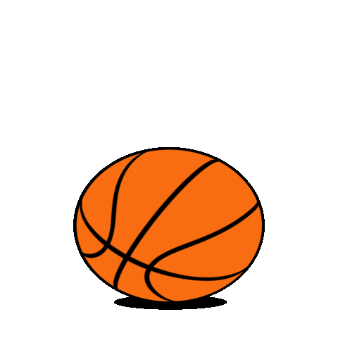 new york basketball Sticker