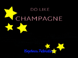 EnotecaAdriatica champagne sparkling winelover winelovers GIF
