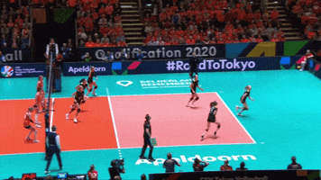 200.gif?cid=fc005b086c9a66b235ea391d60c1c1df6166a217d54229ee&rid=200.gif&ct=g