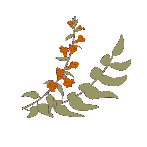 Audrey Stylez Sticker