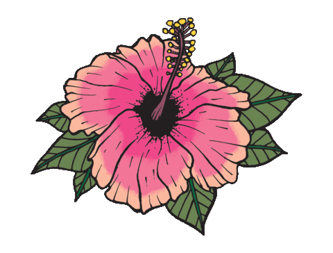 Flower Sticker for iOS & Android | GIPHY