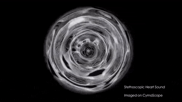Frequencies GIF