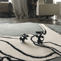 rugs carpets GIF by Cap&Pep