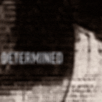 200.gif?cid=fc005b08083bf09ba347f69f1a42f5a6f8bec406ed22abc8&rid=200.gif&ct=g
