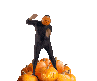 dance dancing Sticker by Tubi