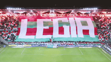 Happy Football GIF by Legia Warszawa