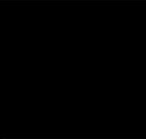 Festival Subtropikal GIF