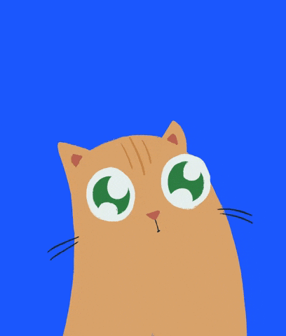 Big Eyes Wow GIF