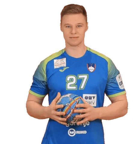 Handball Euro GIF by Rokometna zveza