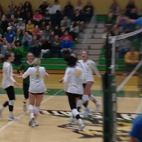 Happy Wright State GIF by Horizon League