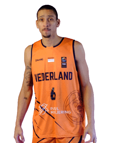 Basketball Nederland Sticker