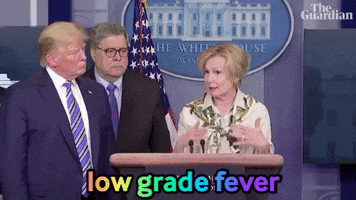Trump GIF