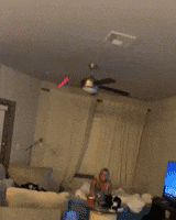 Fan Lol GIF by NOSAM