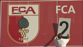 Wwk Arena Goal GIF by FC Augsburg 1907