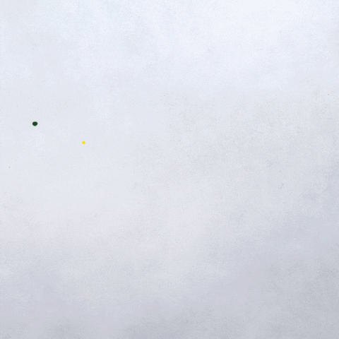 Canola Vita GIF