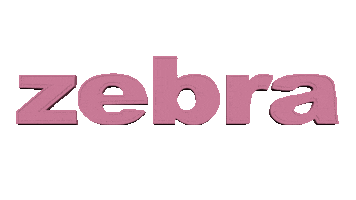 Zebra Fashion Sticker