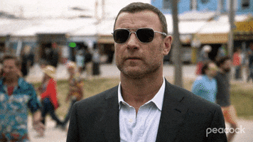 Ray Donovan Sunglasses GIF by PeacockTV