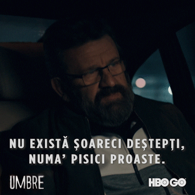 HBO_Romania idiot prost saying hbogo GIF